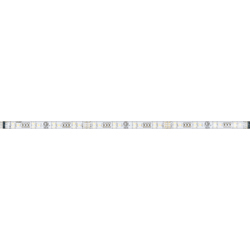 E53553