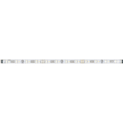 E53554