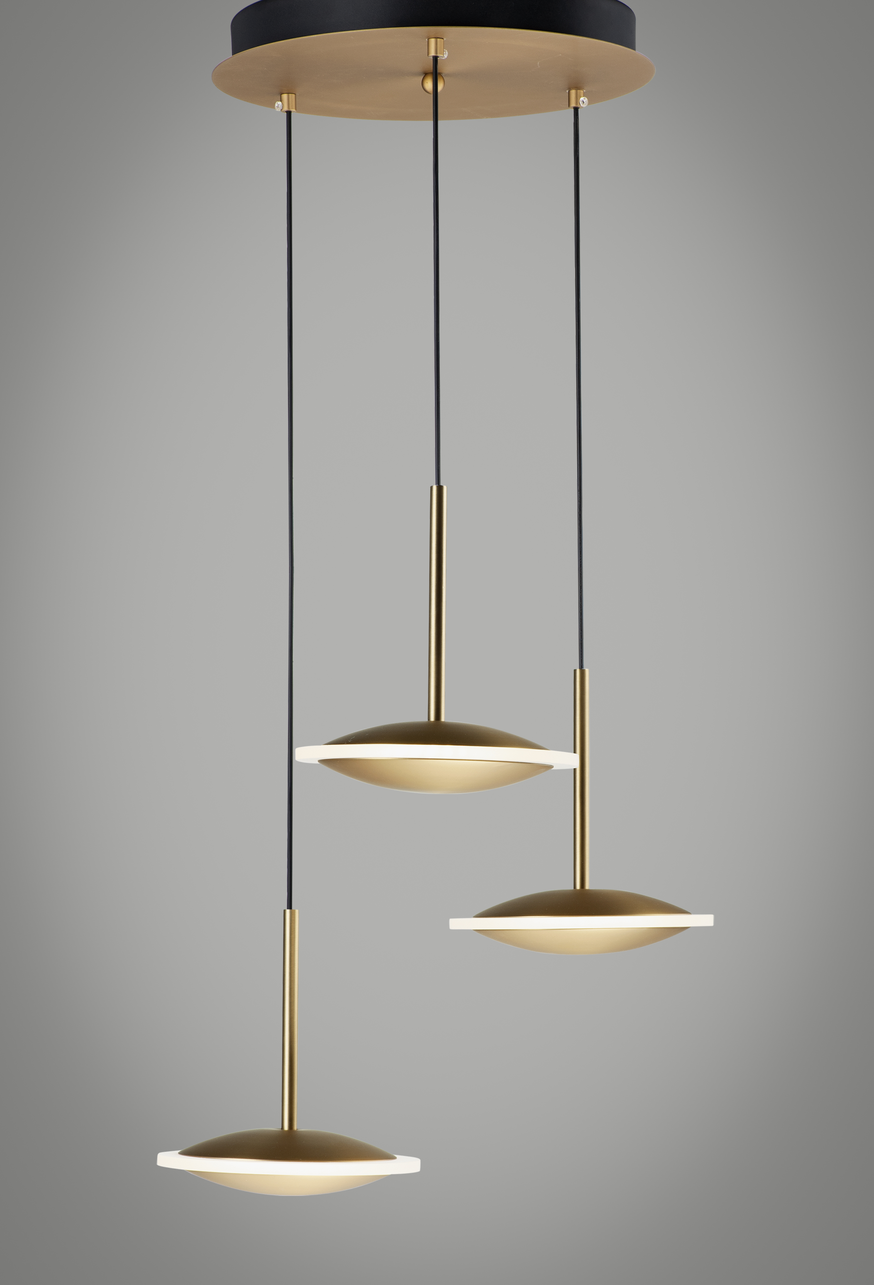 Amazon.com: Modern 3 Rings Chandeliers LED Pendant Light