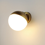 Half Moon LED Wall Sconce