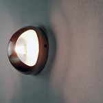 Wink 1-Light Wall Sconce