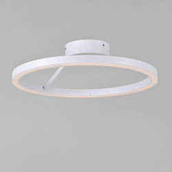 Cirque LED Flush / Wall Mount