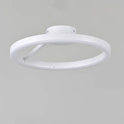 Cirque LED Flush / Wall Mount