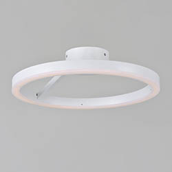 Cirque LED Flush / Wall Mount