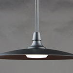 Raven 1-Light LED Pendant