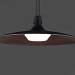 Raven 1-Light LED Pendant