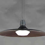 Raven 1-Light LED Pendant