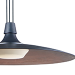 Raven 1-Light LED Pendant