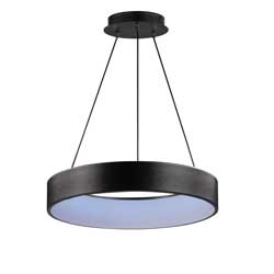 iQ 24" LED Pendant WiZ Color