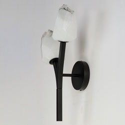 Blossom 2-Light LED Wall Sconce