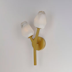 Blossom 2-Light LED Wall Sconce