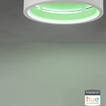 iCorona Friends of Hue LED Flush Mount