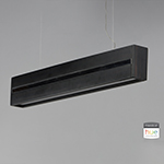 iWood Friends of Hue LED Pendant