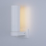 Alumilux LED Wall Sconce