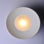 Alumilux LED Flush/Wall Mount