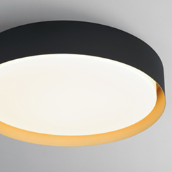 Echo 24" LED Pendant