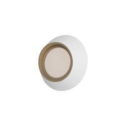 Slant 12" LED Wall Sconce/Flush Mount (Wet)