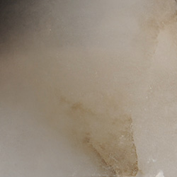 WA
